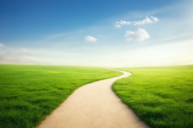 Az ösvény az élet utazását szimbolizálja, a választások és lehetőségek felfedezését.