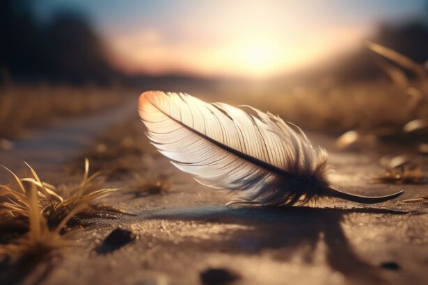 A madártoll a földön szimbolizálja a szabadságot és az álmok megvalósítását, a szárnyalás vágyát.