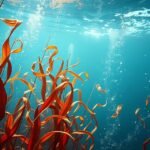 Színes moszat és víz alatti világ szimbolikája az álmokban.